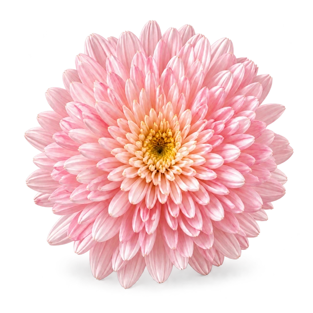 FLORAL fragrance note
